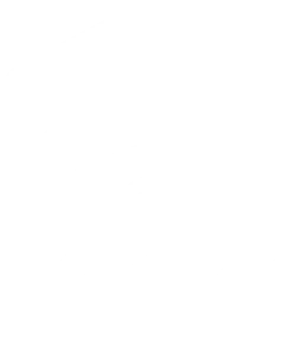 logovista